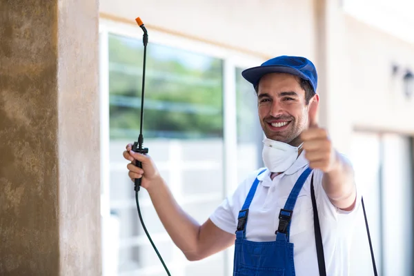 Walnut Creek Wasp Removal