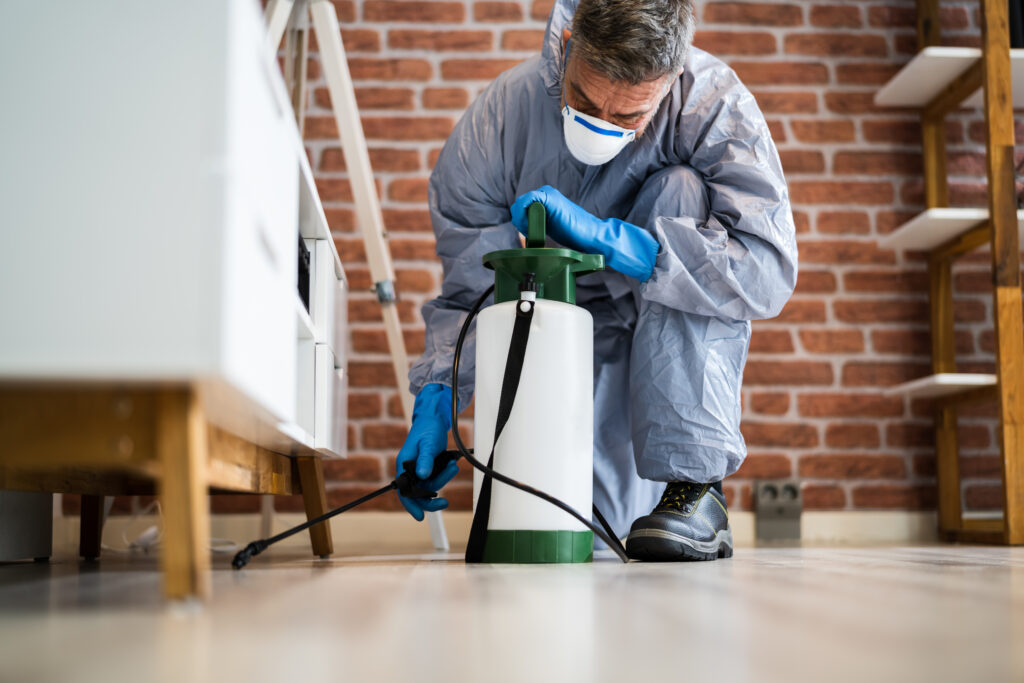Walnut Creek Spider Control