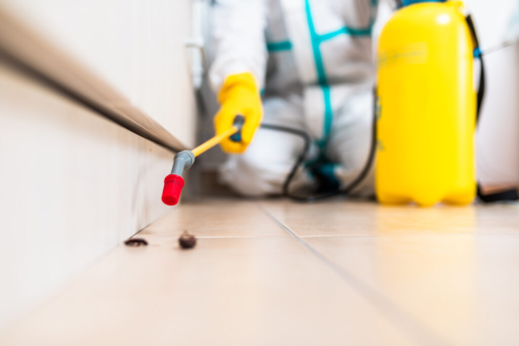 Walnut Creek Cockroach Experts