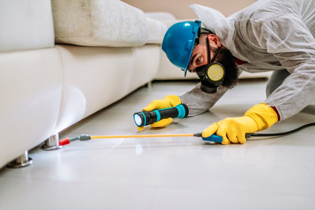 Walnut Creek Termite Control