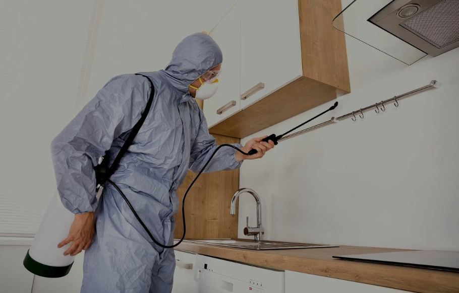Walnut Creek pest managment