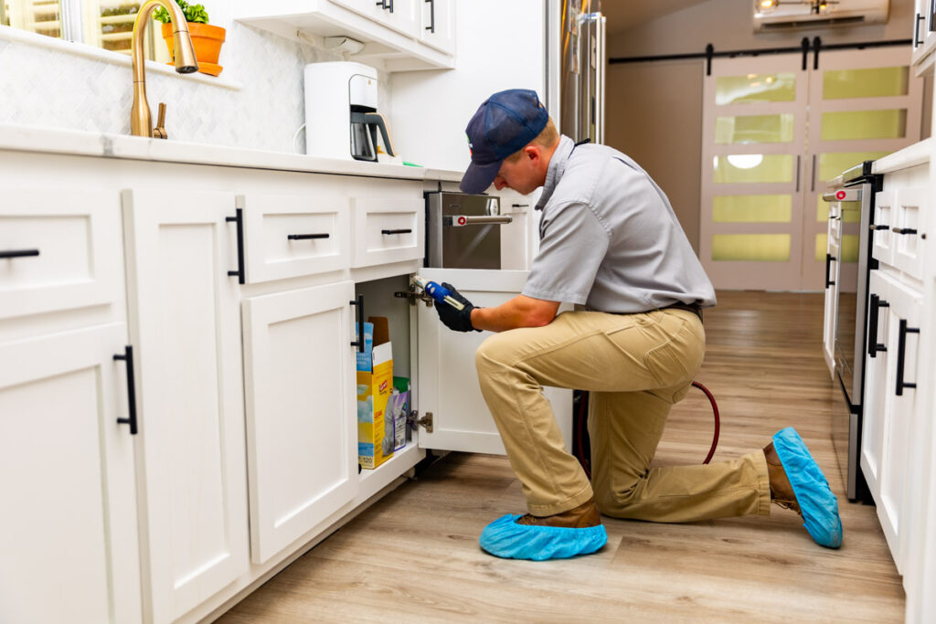 Walnut Creek xpert pest management